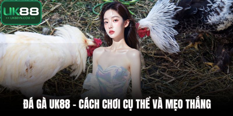 Đá Gà UK88