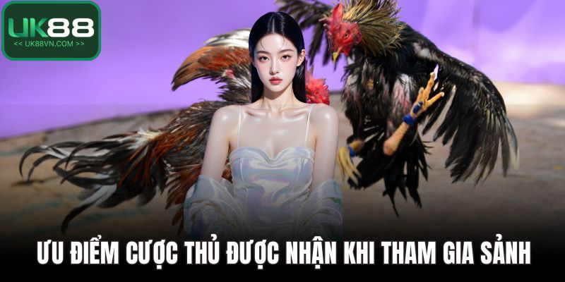 Đá Gà UK88 - Cách Chơi Cụ Thể Và Mẹo Giành Chiến Thắng 3 Ưu điểm cược thủ được nhận khi tham gia sảnh